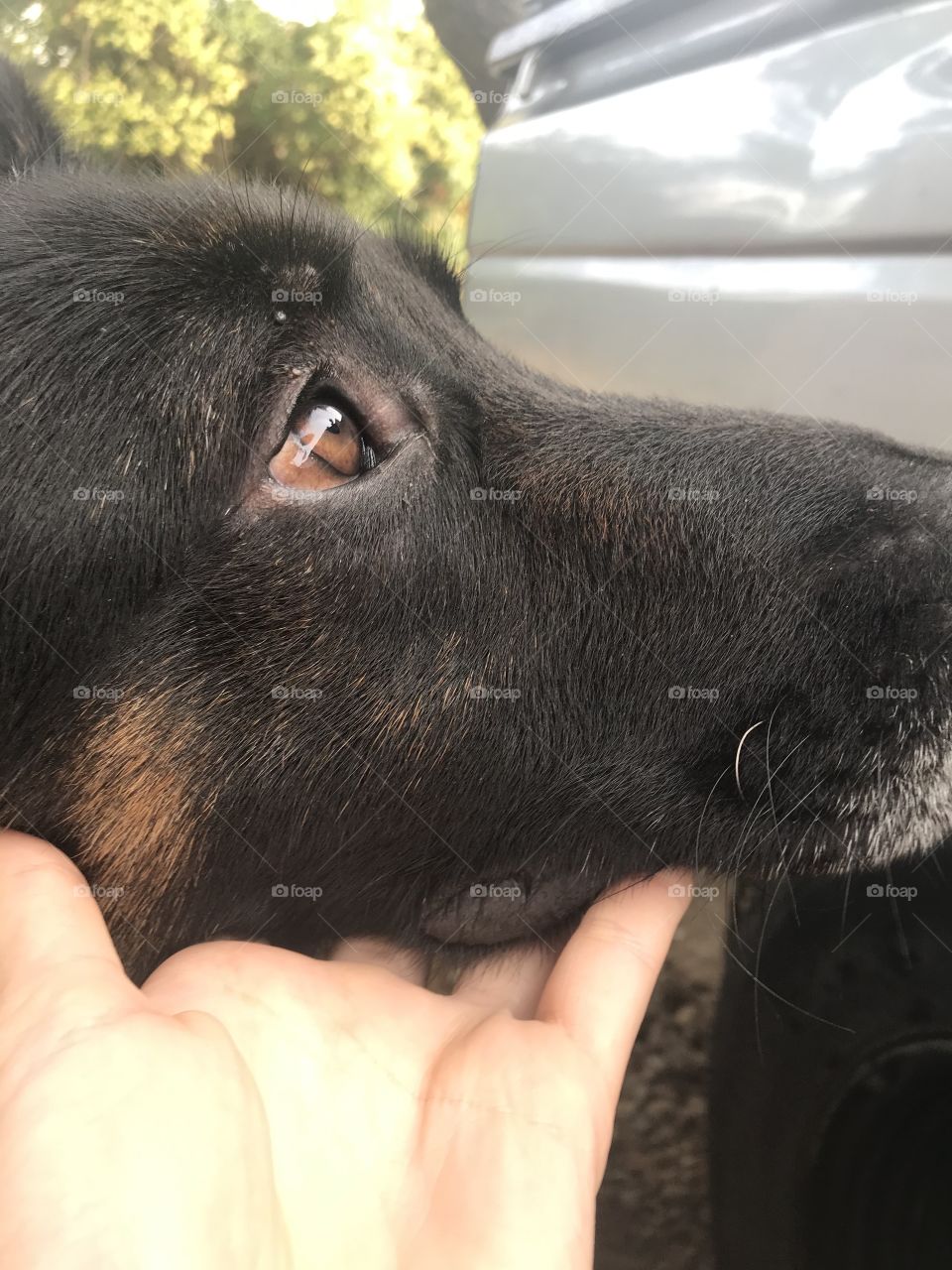 one look says it all