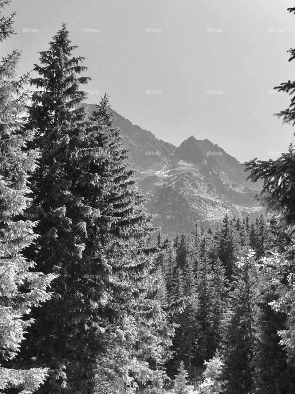 Beautiful mountains, black and white. Great view
