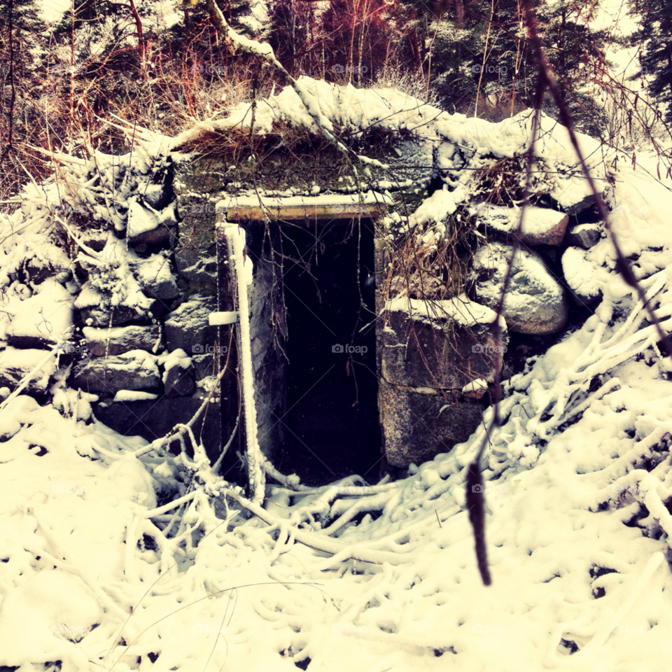 snow winter cellar root cellar by ellkay