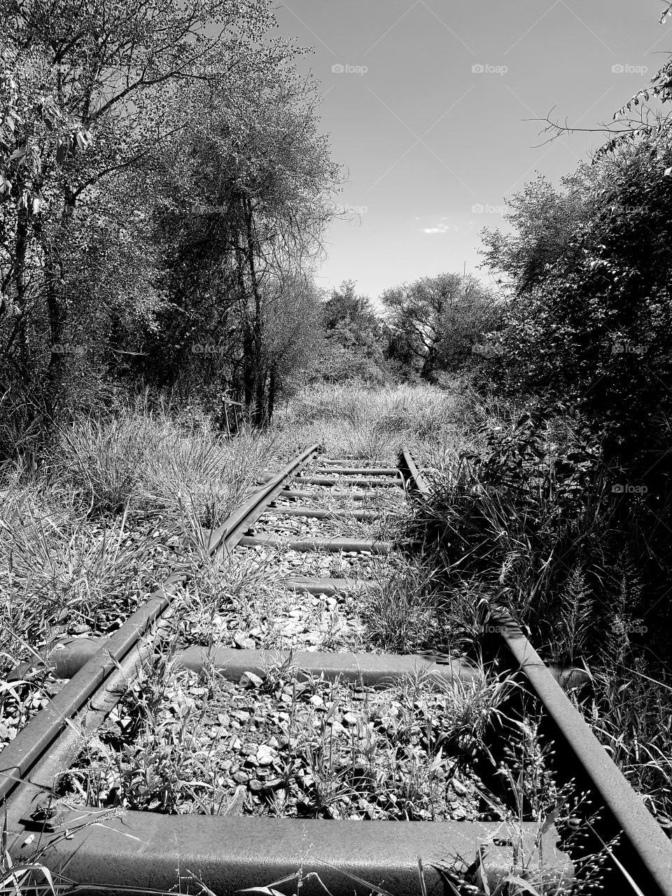 Rail Tracks