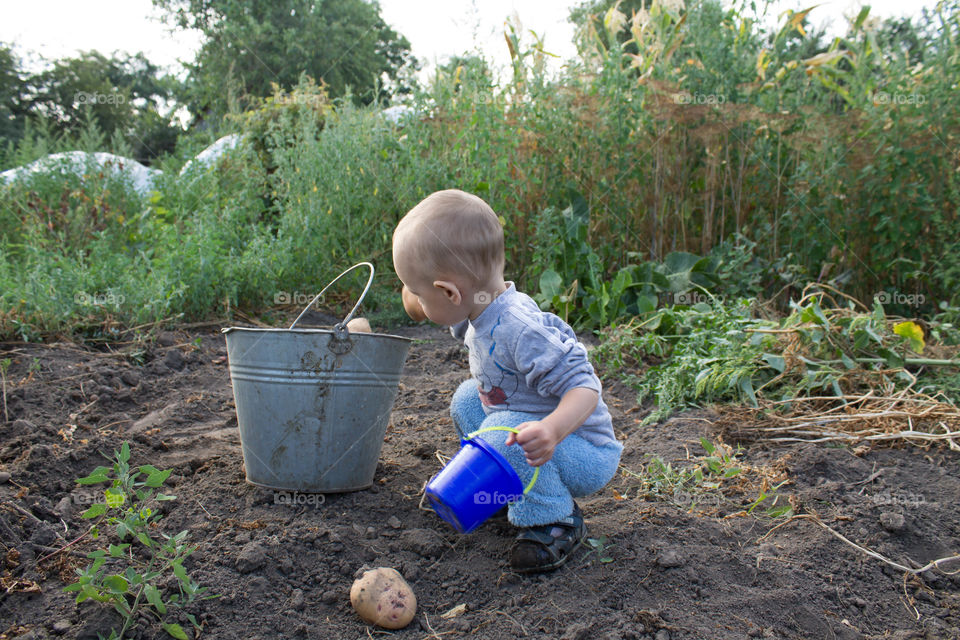 Child, Bucket, Farm, Outdoors, One