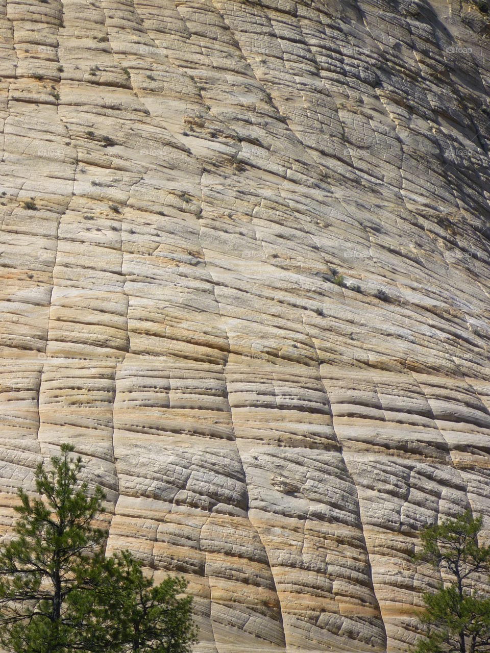 View of rock formation