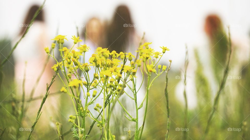 Women in a flower field 