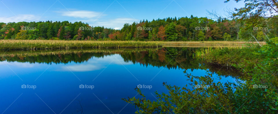 Fall is finally here 