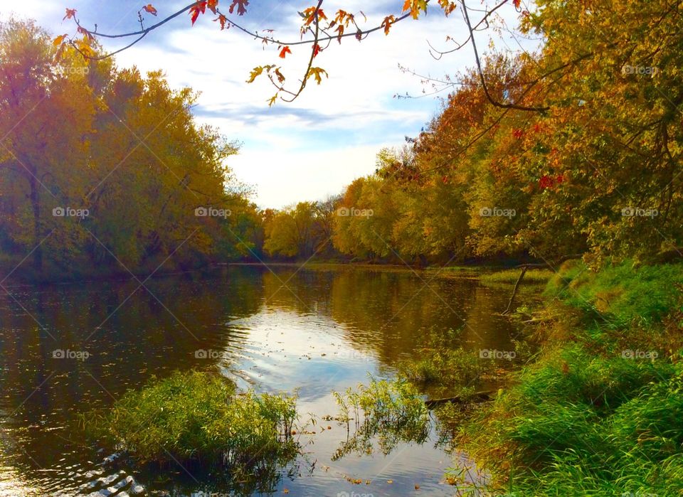 Autumn in Indiana. This is the Eel River in northern Indiana. 