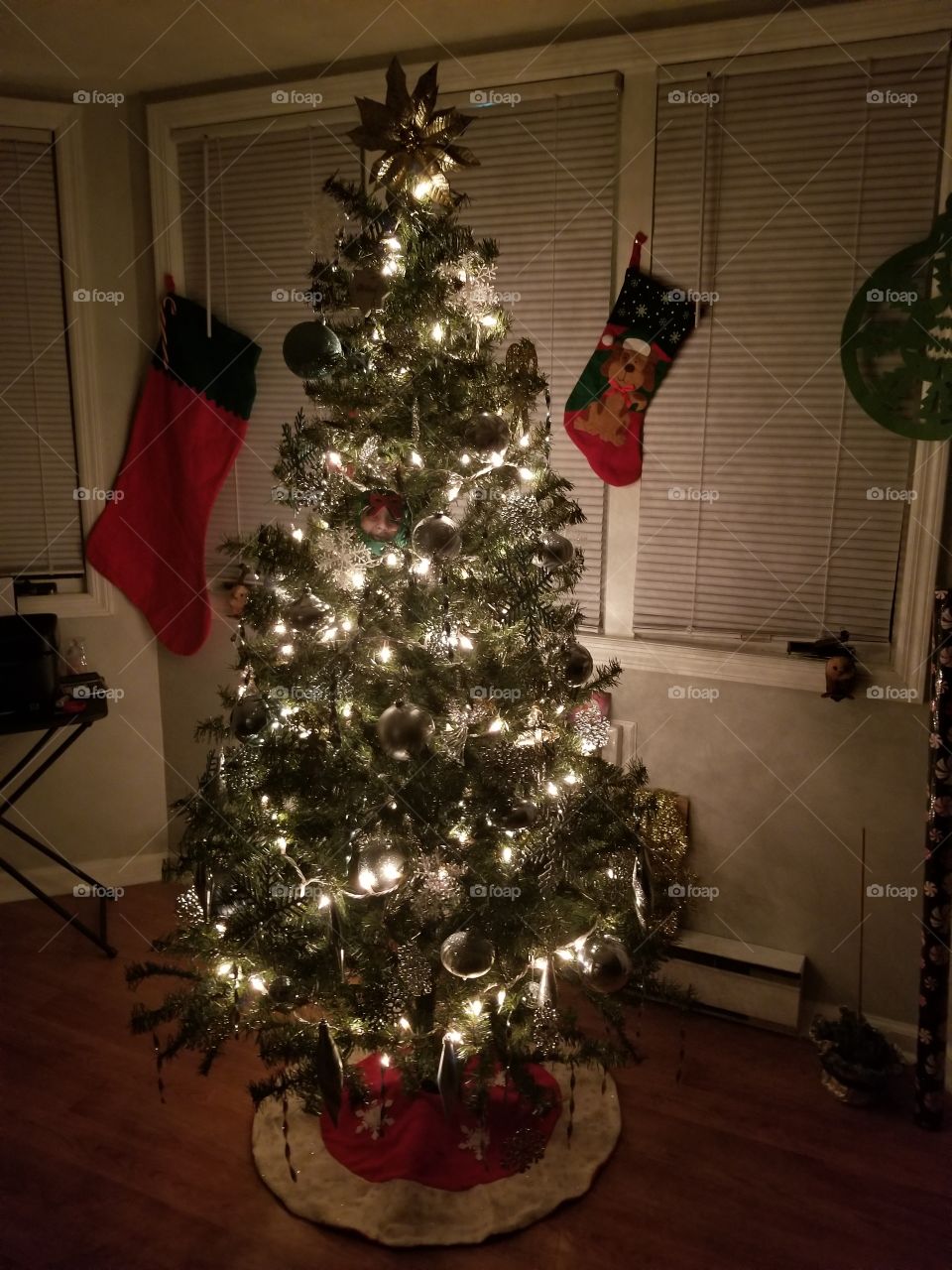 Our Family Christmas Tree