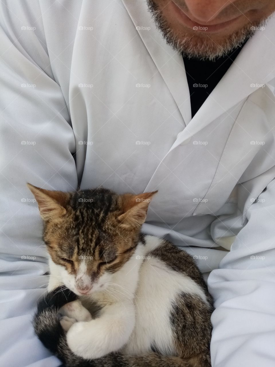 Just a few minutes this cat Will be my freind