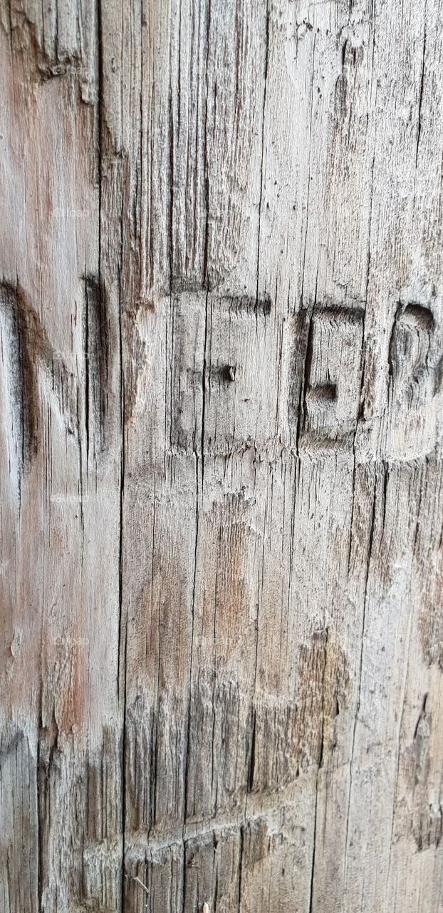 the word need carved into an old oak telegraph pole