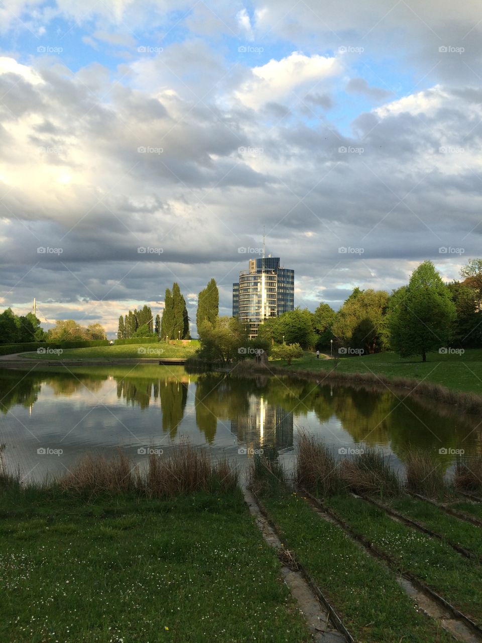 Landscape in park 