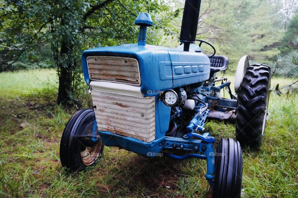 Vintage blue farm tractor parked under a tree