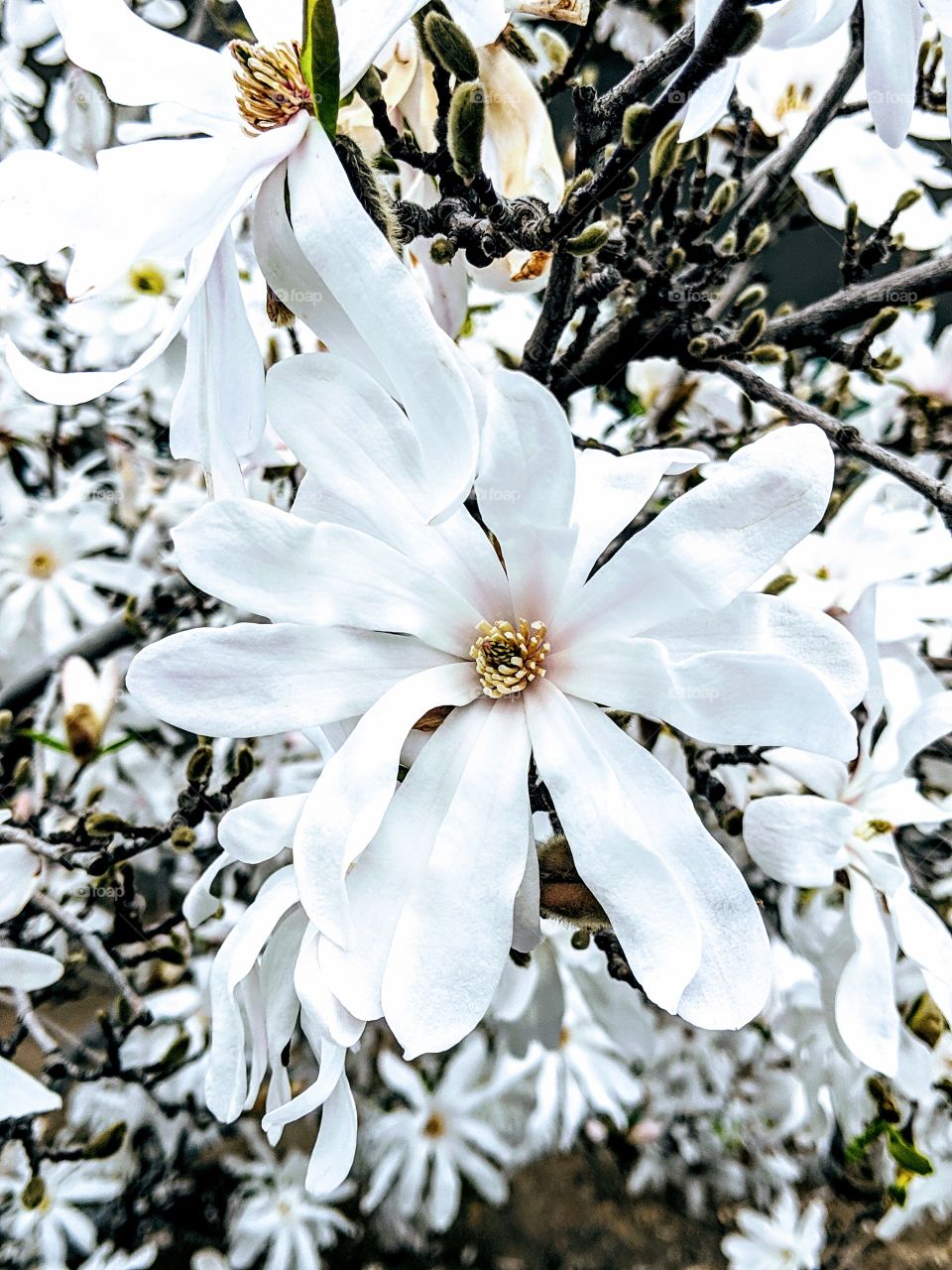 First Sign of Spring