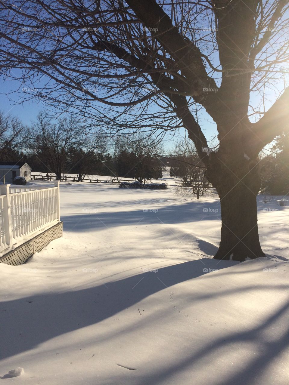 Snowy landscape 