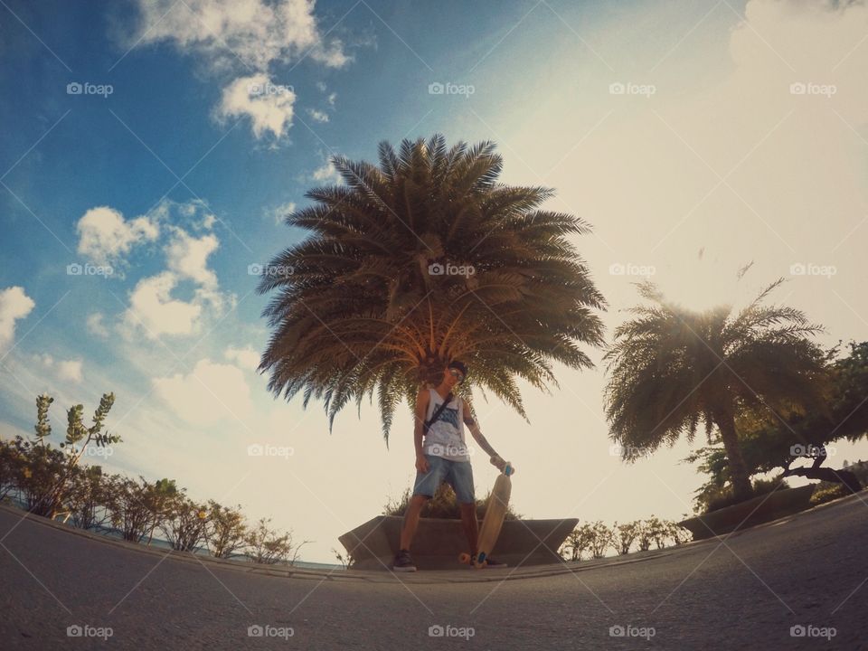 longboard under palm tree 
