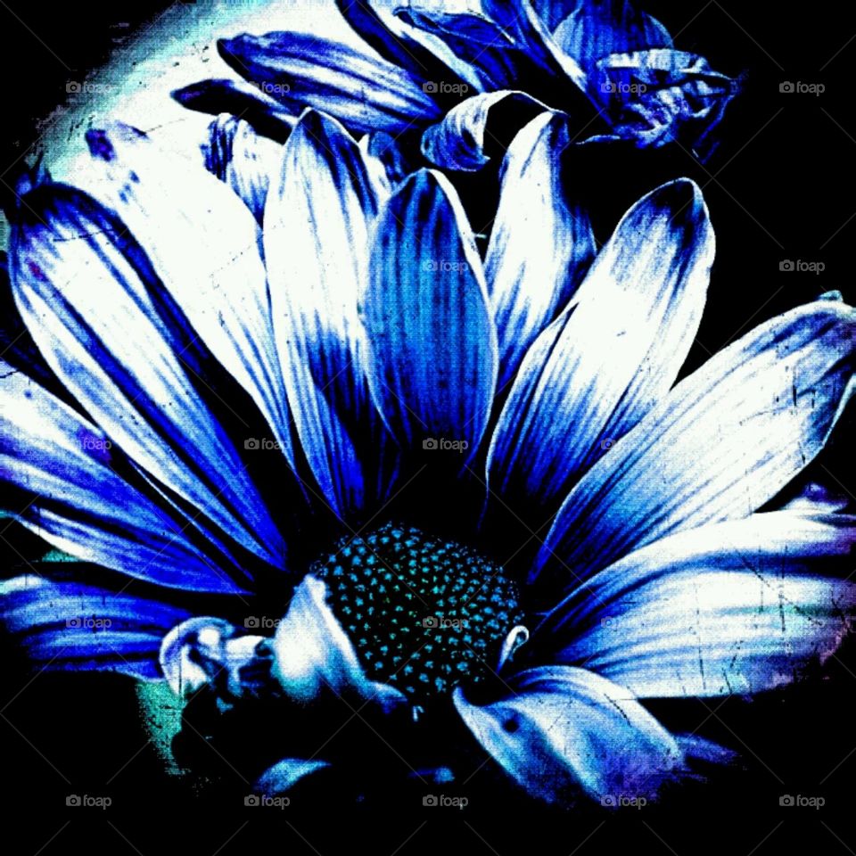 moodiness. lighting effects