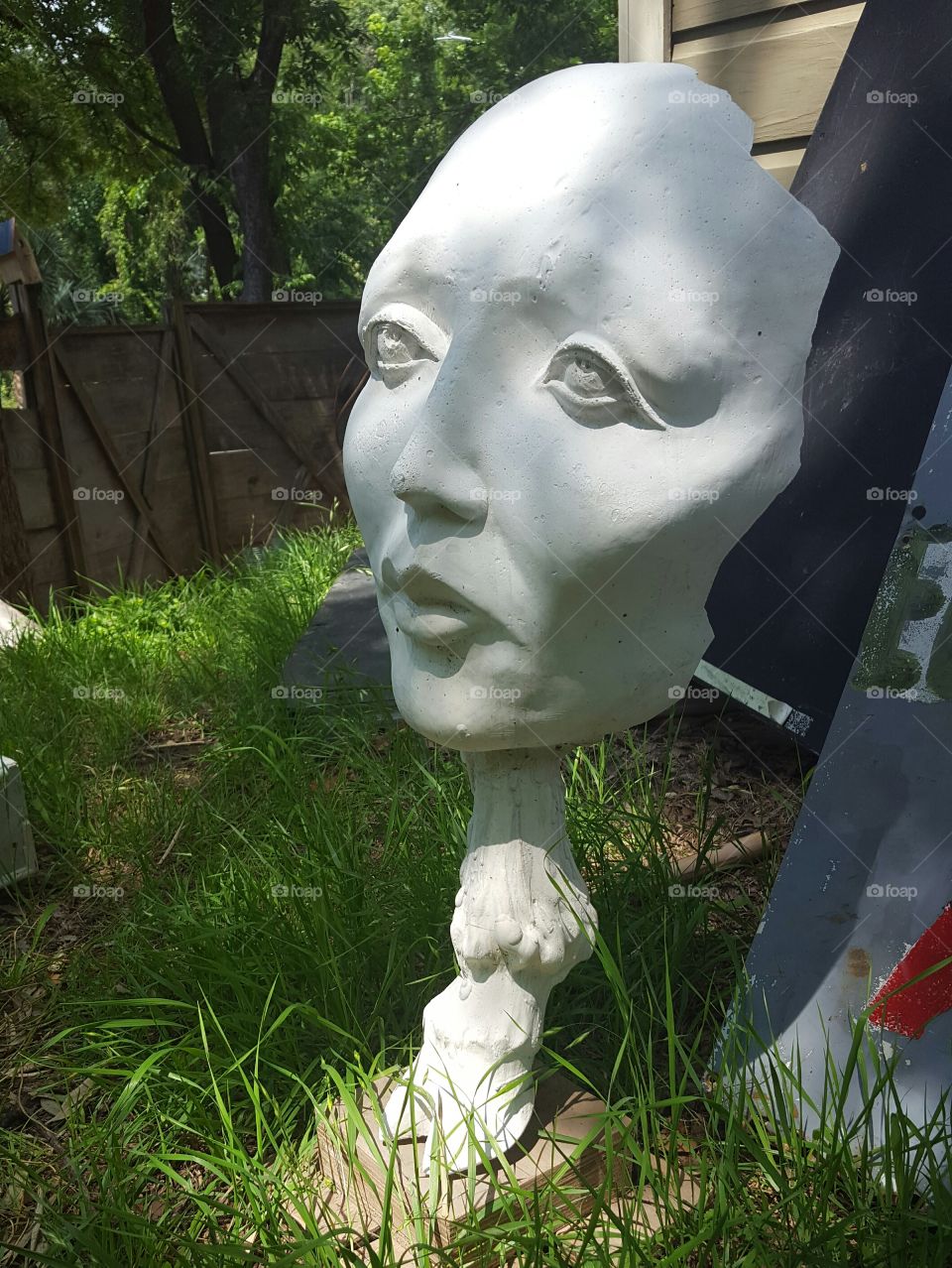 Face Sculpture