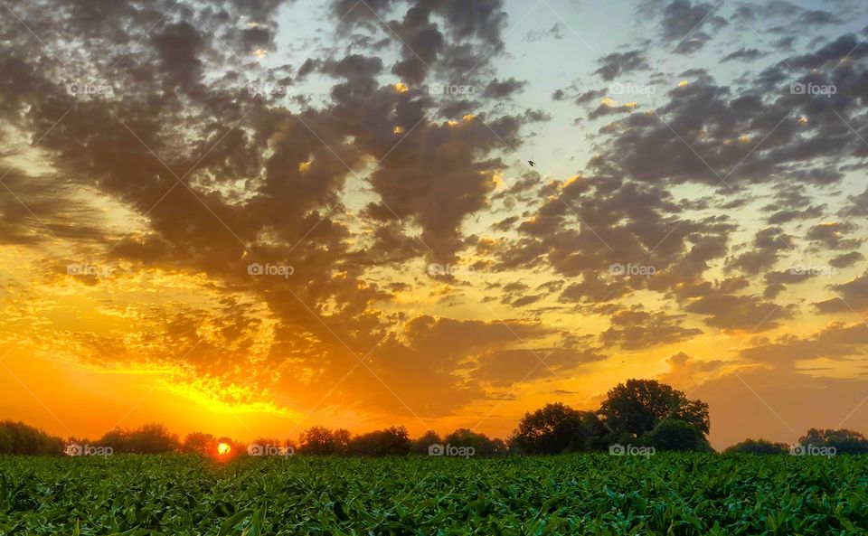 Fiery and colorful sunrise sky with dramatic dark spots of clouds of a rural landscape 