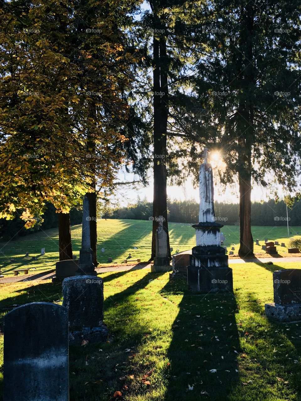 Sunrise shadows, Mt Calvary Catholic Cemetery, Portland, OR