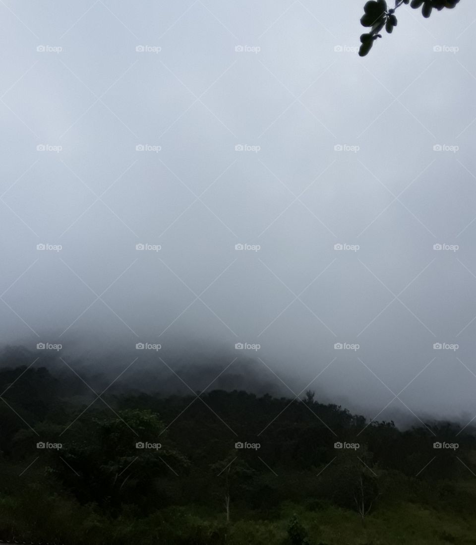 winter, coldest season of the year, between autumn and spring winters are the coolest season that starts from December.