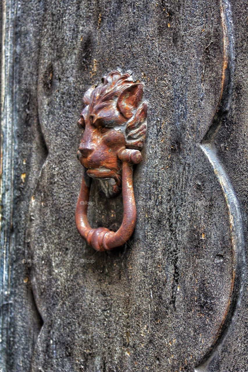 Door knocker