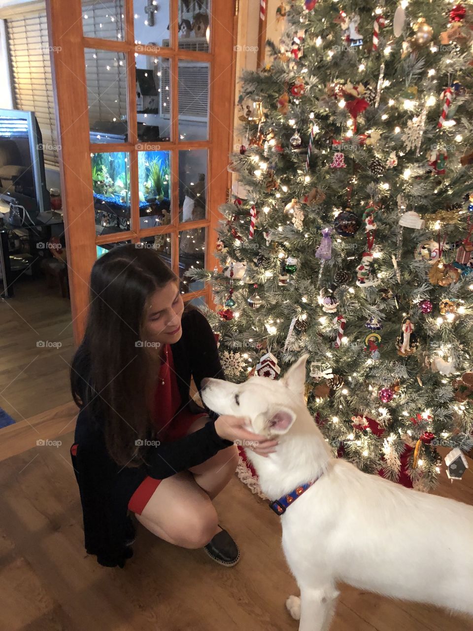 Young woman and white dog celebrating Christmas 