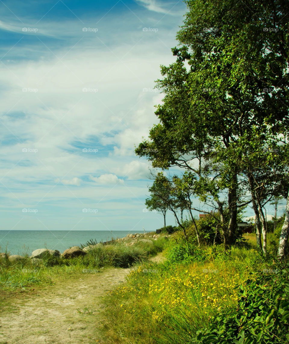 sky summer beach green by spidercam