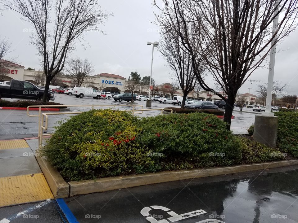 Shopping  Center parking lot