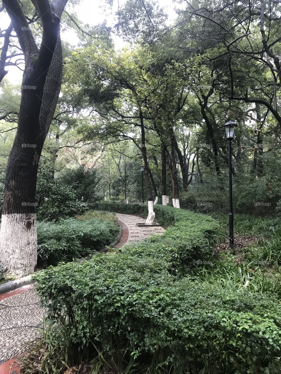 Footpath through a park in China 