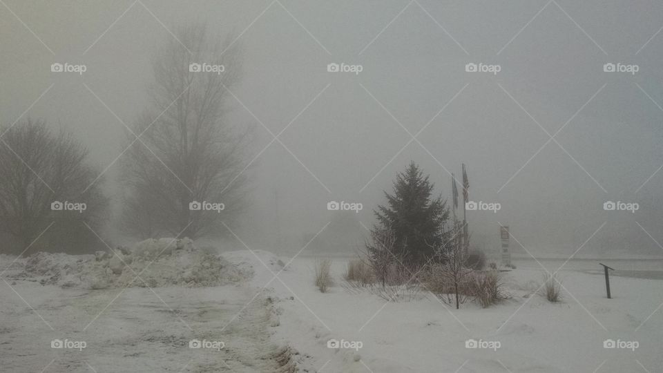 Winter, Snow, Fog, Weather, Cold