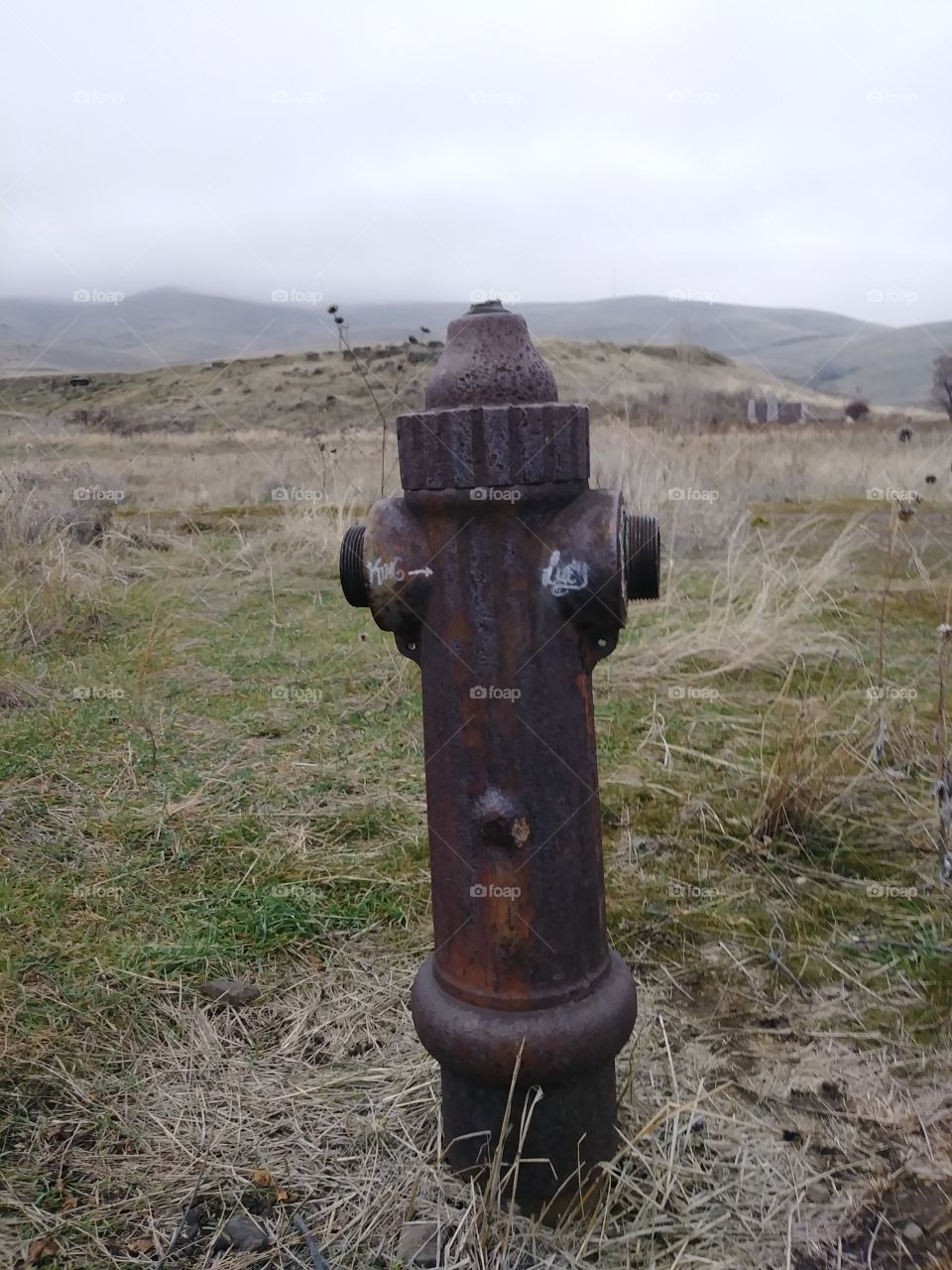 fire hydrant