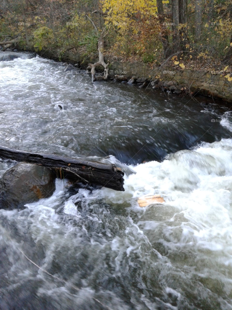log in water