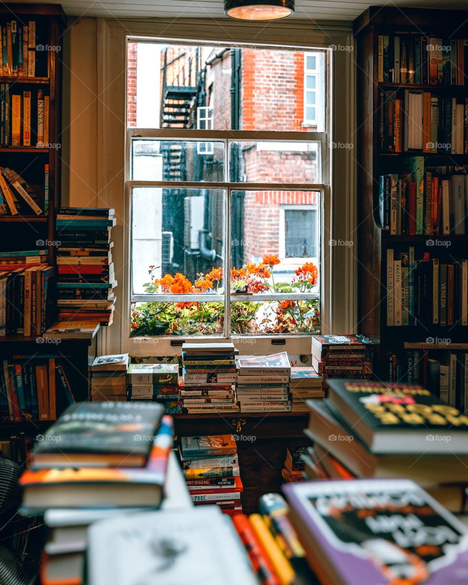 Window in a bookshop
