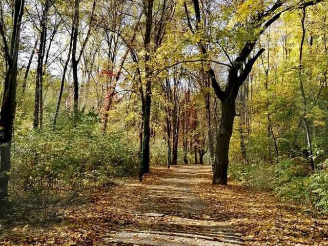 autumn in park