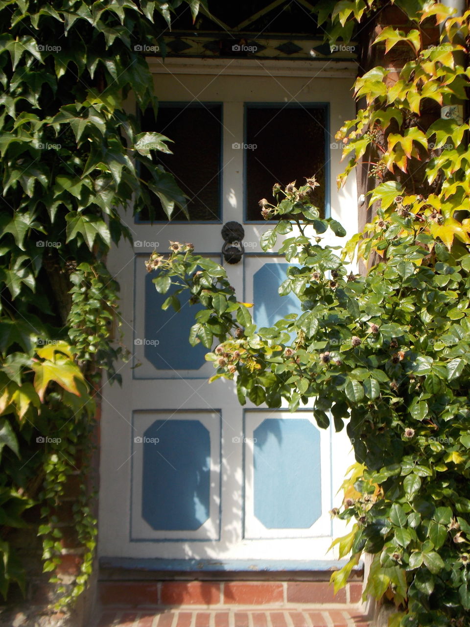 Doors of Lüneburg