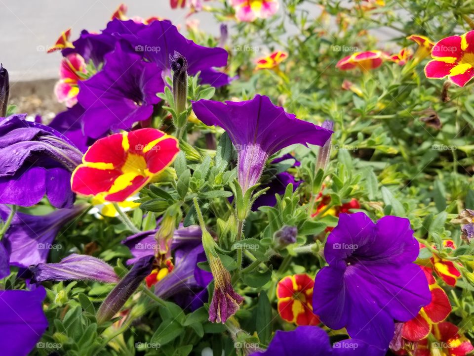 Spring is in the air