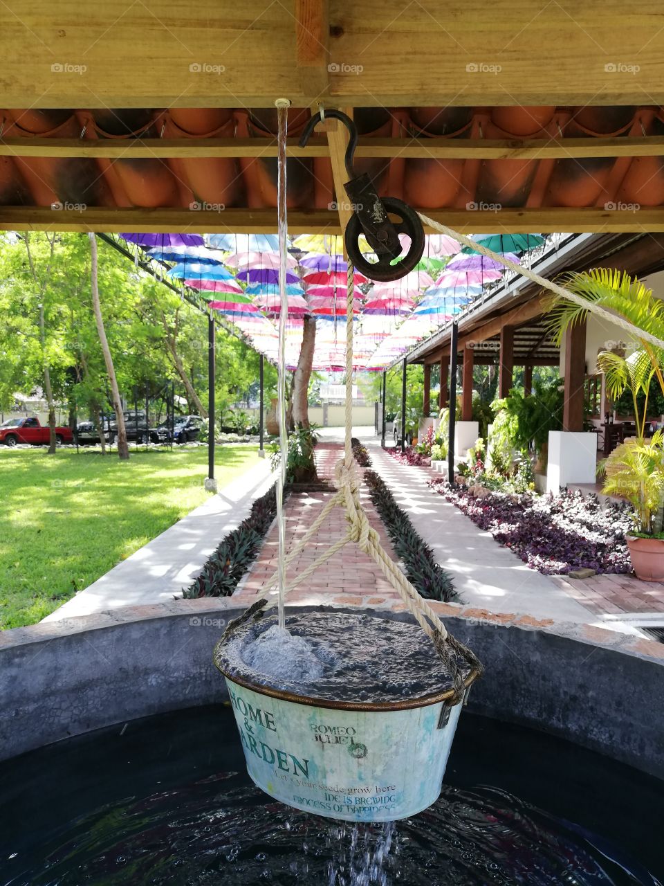 Libélula, San Pedro Sula, Honduras