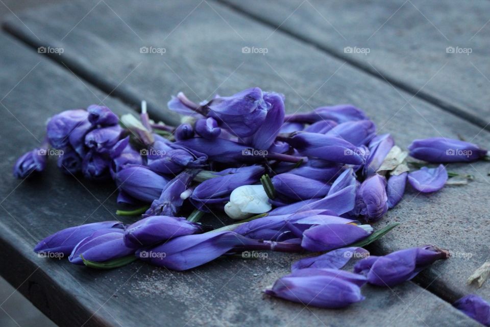 Just a picture of beautiful thing 