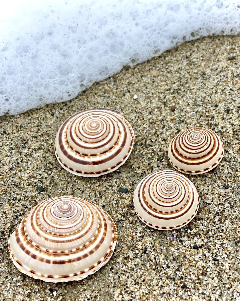 Foap Mission “Seeing In Circles”! Circles In Nature, Seashells in the Sand And Waves!”