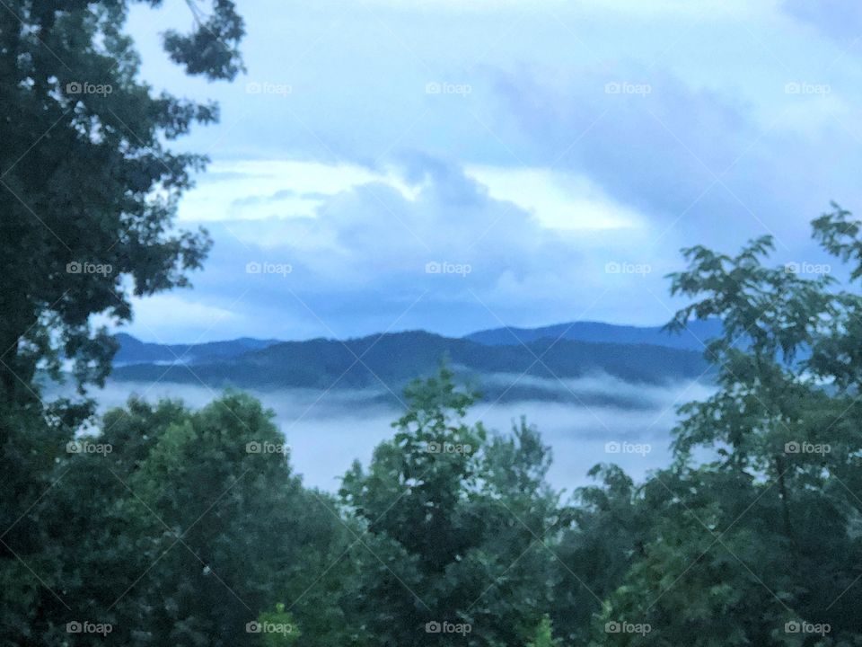 Foggy mountain morning. The fog makes the mountain look like islands in the sky. 
