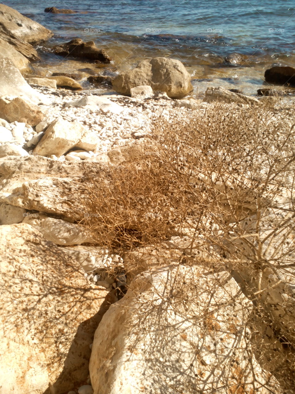 Nature, Rock, Water, Landscape, No Person