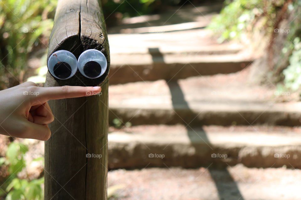 Silly googly eyes