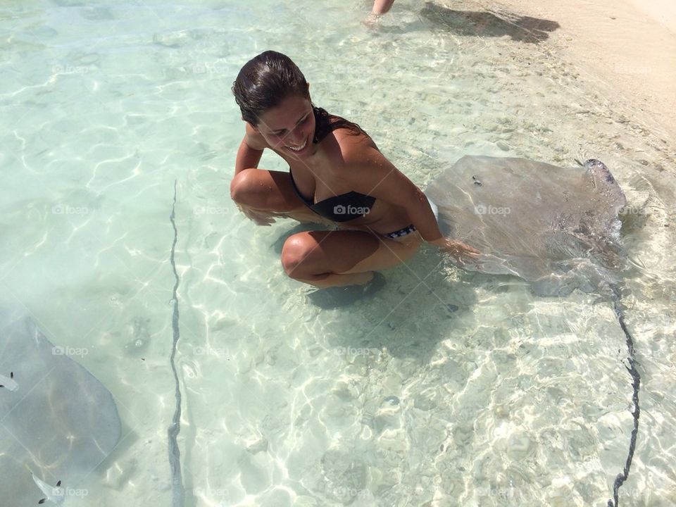 Feeding Sting-rays