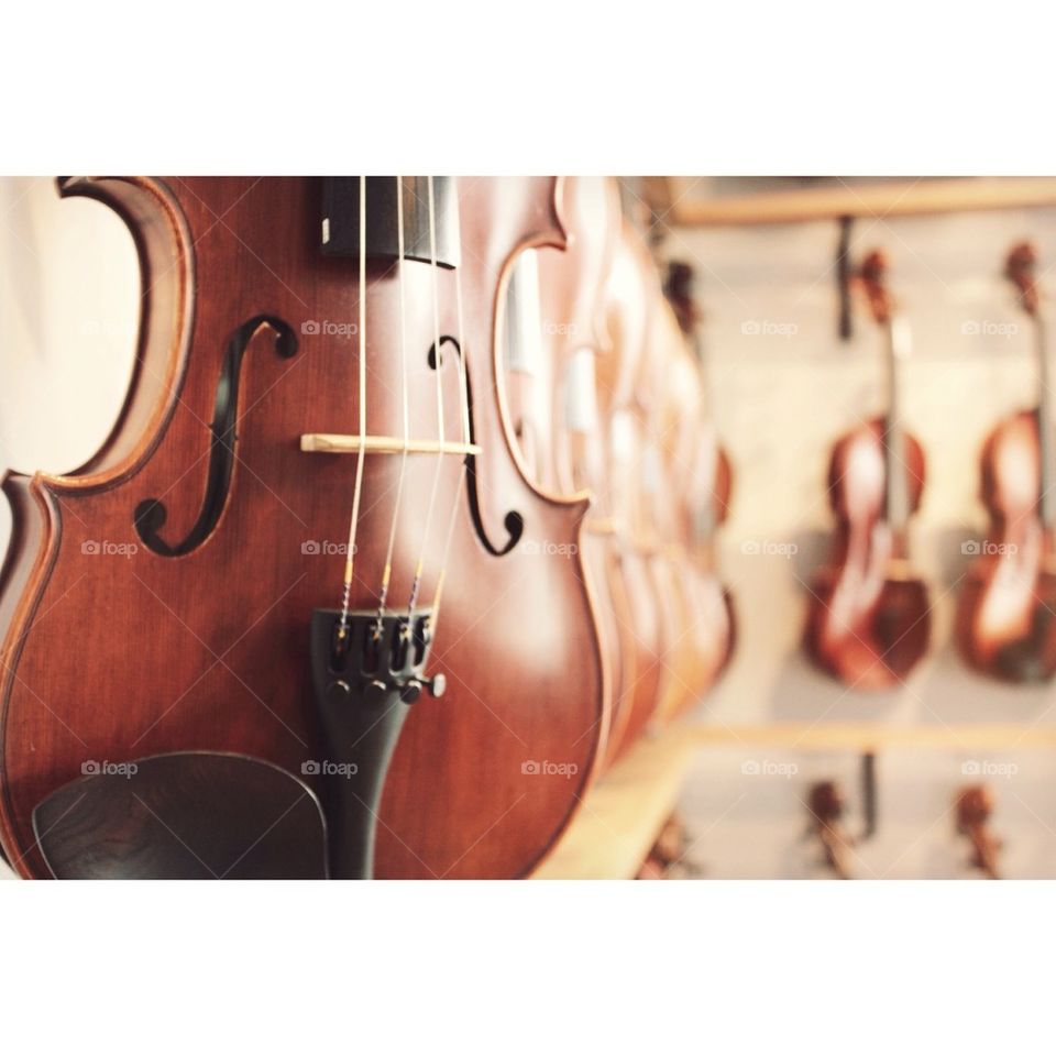 Close-up of a violin strings and bridge