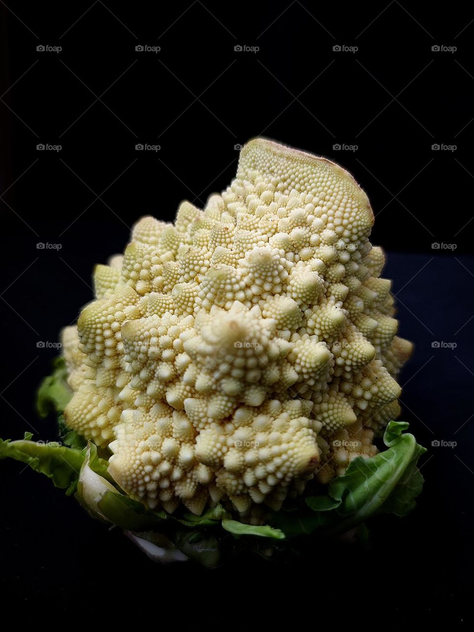 Minimalism.  Romanesco cabbage on a black background.