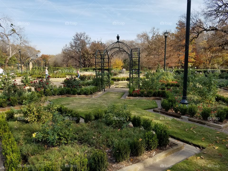 Fort Worth botanical gardens
