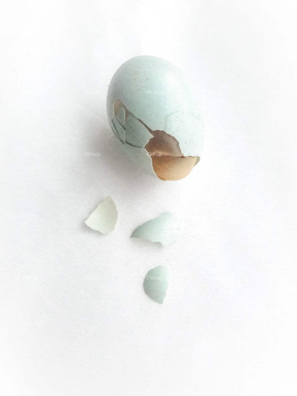 robin's egg