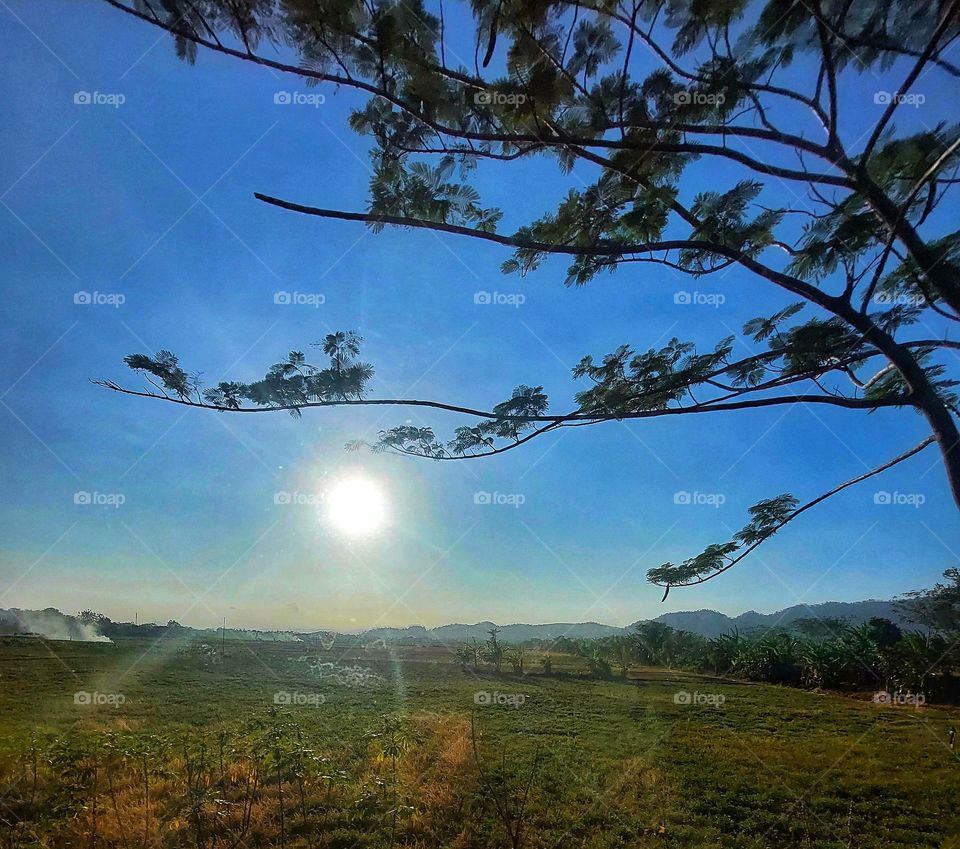 Beautiful scenery of the mountain with the bright light in the morning