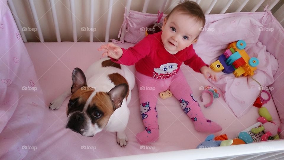 High angle view of a baby and dog in crib