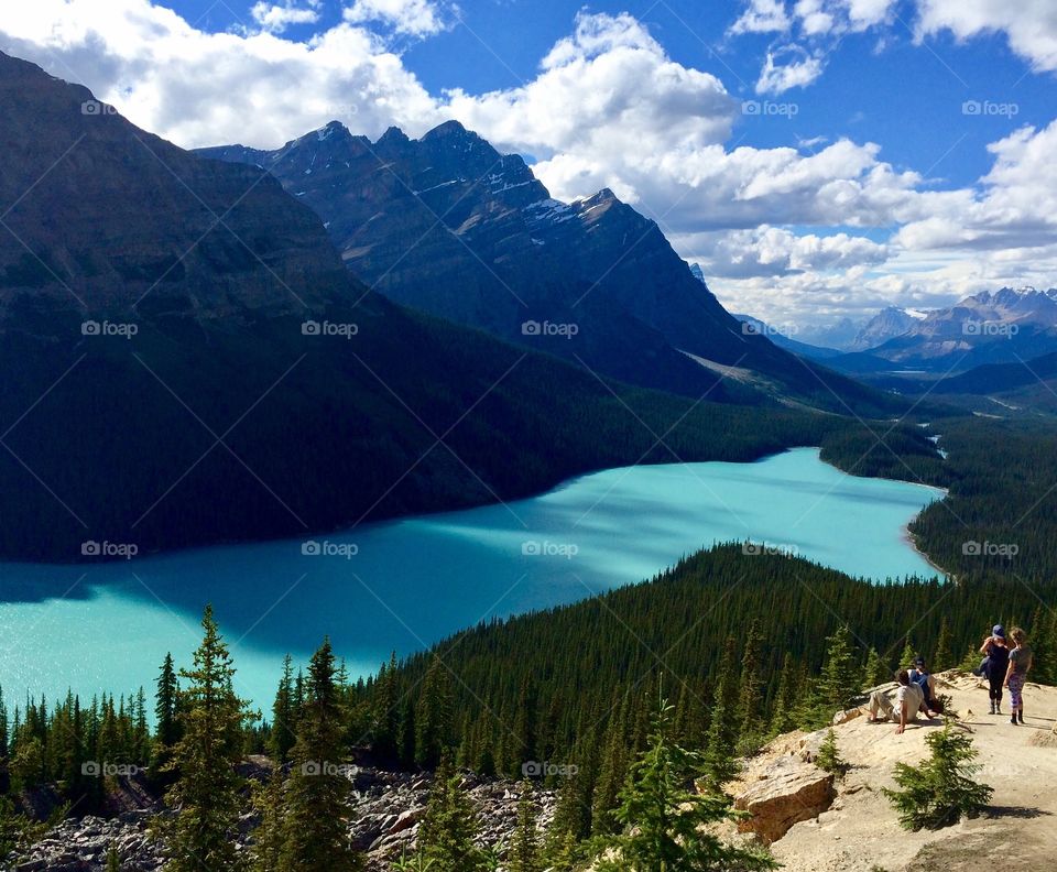 Peyto Lake looks like a Wolf ... I love this photo 