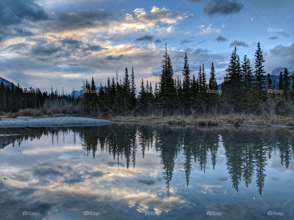 Tree Reflections in a Still Lake