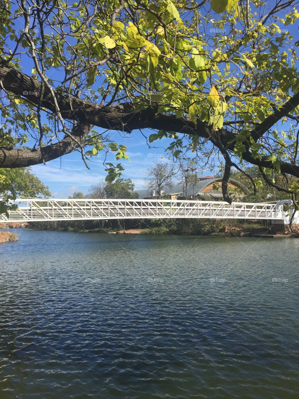 Water bridge